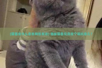 (猫酱是什么意思网络用语) 揭秘猫酱究竟是个嘛玩意儿？