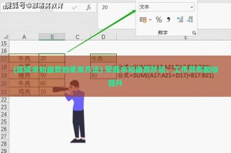 (区域求和函数的使用方法) 掌握求和函数妙招，工作效率翻倍提升